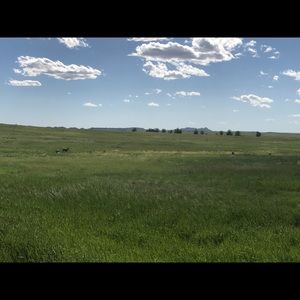 Meet your Posher, Angie